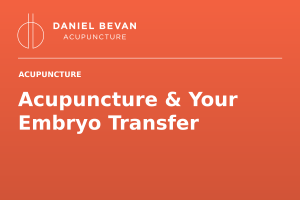 Acupuncture & Your Embryo Transfer — Daniel Bevan Acupuncture